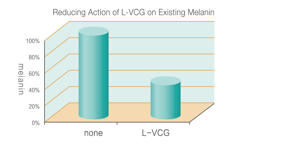 L-VCG