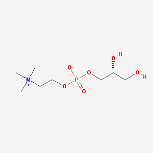 Choline Alfoscerate